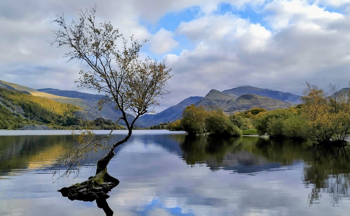 My photo of the Lonely Tree dailypost.co.uk/whats-on/trips…