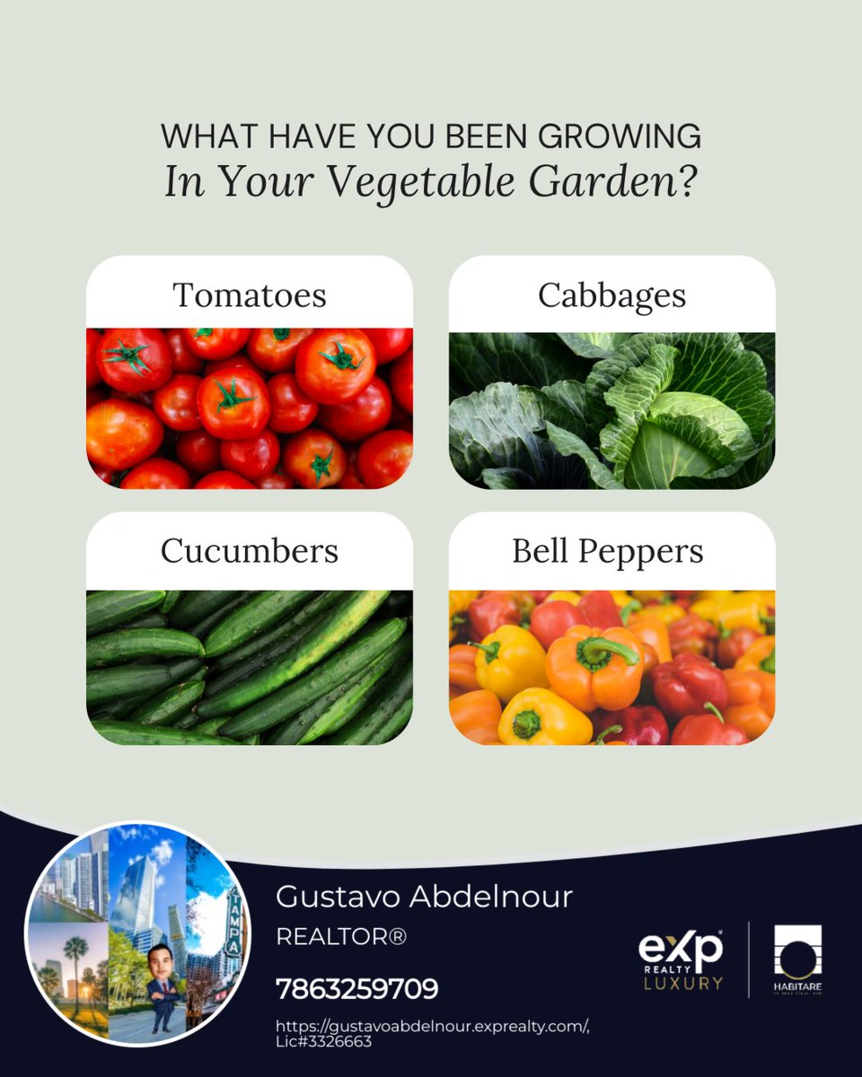 gabdelno's tweet photo. There’s something special about tending a garden and watching it thrive.

Whether it’s juicy tomatoes, crisp cucumbers, vibrant peppers, or hearty cabbage, share what’s been growing in your vegetable garden! 

#greenthumb #freshproduce #gardening #vegtablegarden https://t.co/74sjyZ36EO