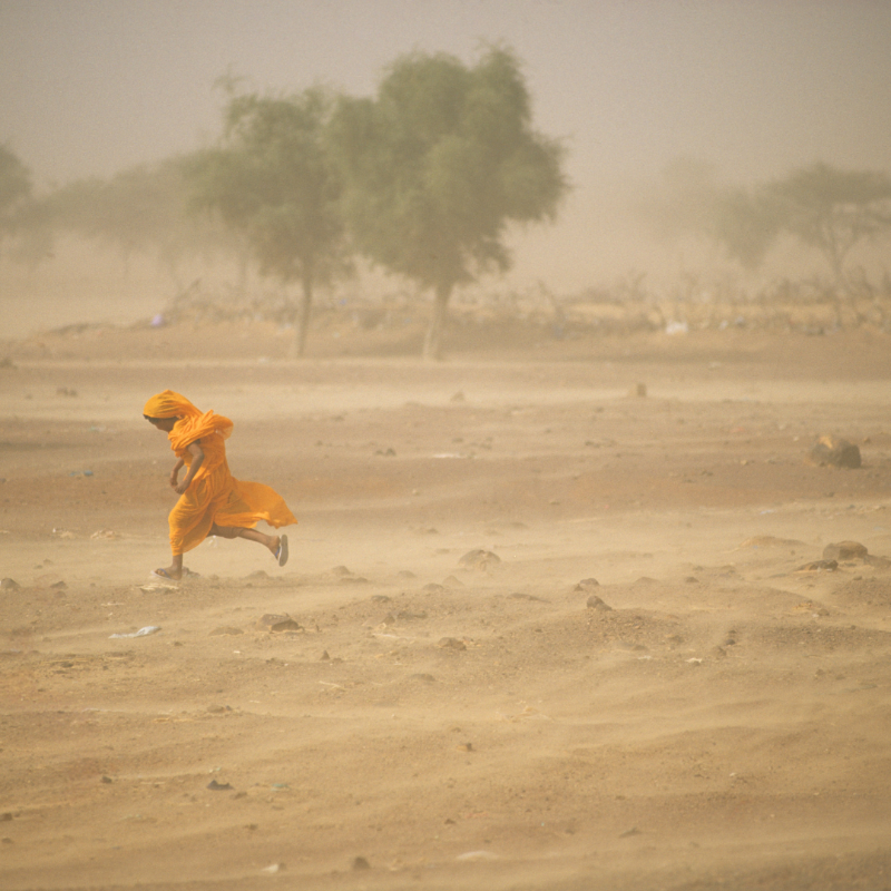 UNCCD's tweet photo. We celebrated #SDSDay yesterday, highlighting the global impact of sand and dust storms on our health, economies &amp; planet.

Do you want to know more about the solutions? Join us for a live learning exchange with international experts on 15 July.

Register: https://t.co/Pk4YEDljVt