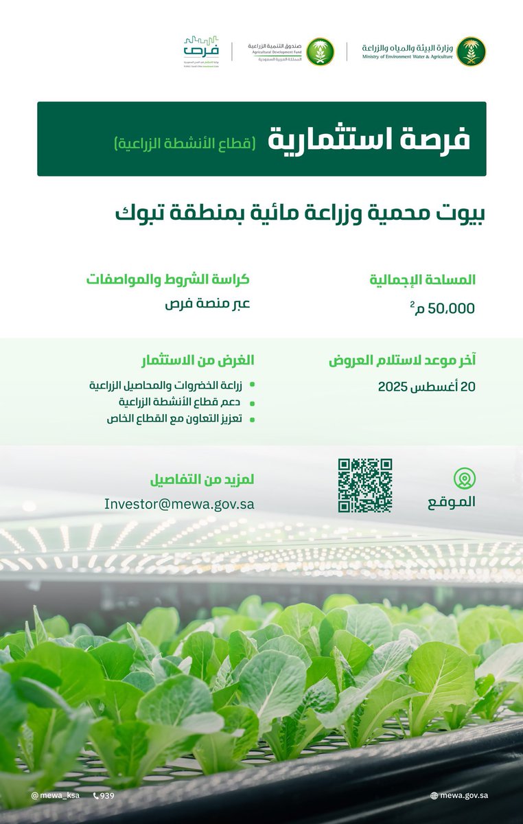 TabukPrincipal's tweet photo. "وزارة البيئة والمياه والزراعة" 
طرح فرصة استثمارية لإنشاء بيوت محمية بمنطقة #تبوك، بهدف دعم قطاع الأنشطة الزراعية، وتعزيز التعاون مع القطاع الخاص.
للمزيد:
https://t.co/5ncSby5iqI https://t.co/mLNFzWKXqY