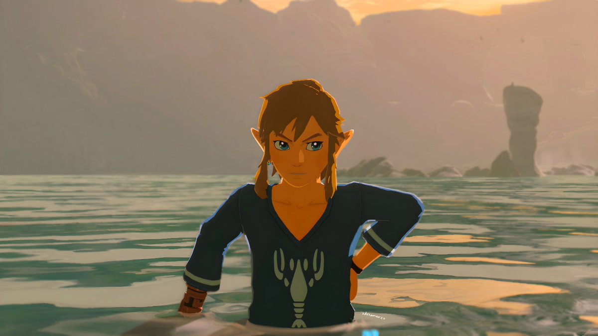 ocean + sunset 🌴☀️
#tearsofthekingdom #zelda