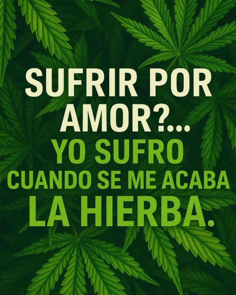 Charly Grown (@charlygrown) on Twitter photo 