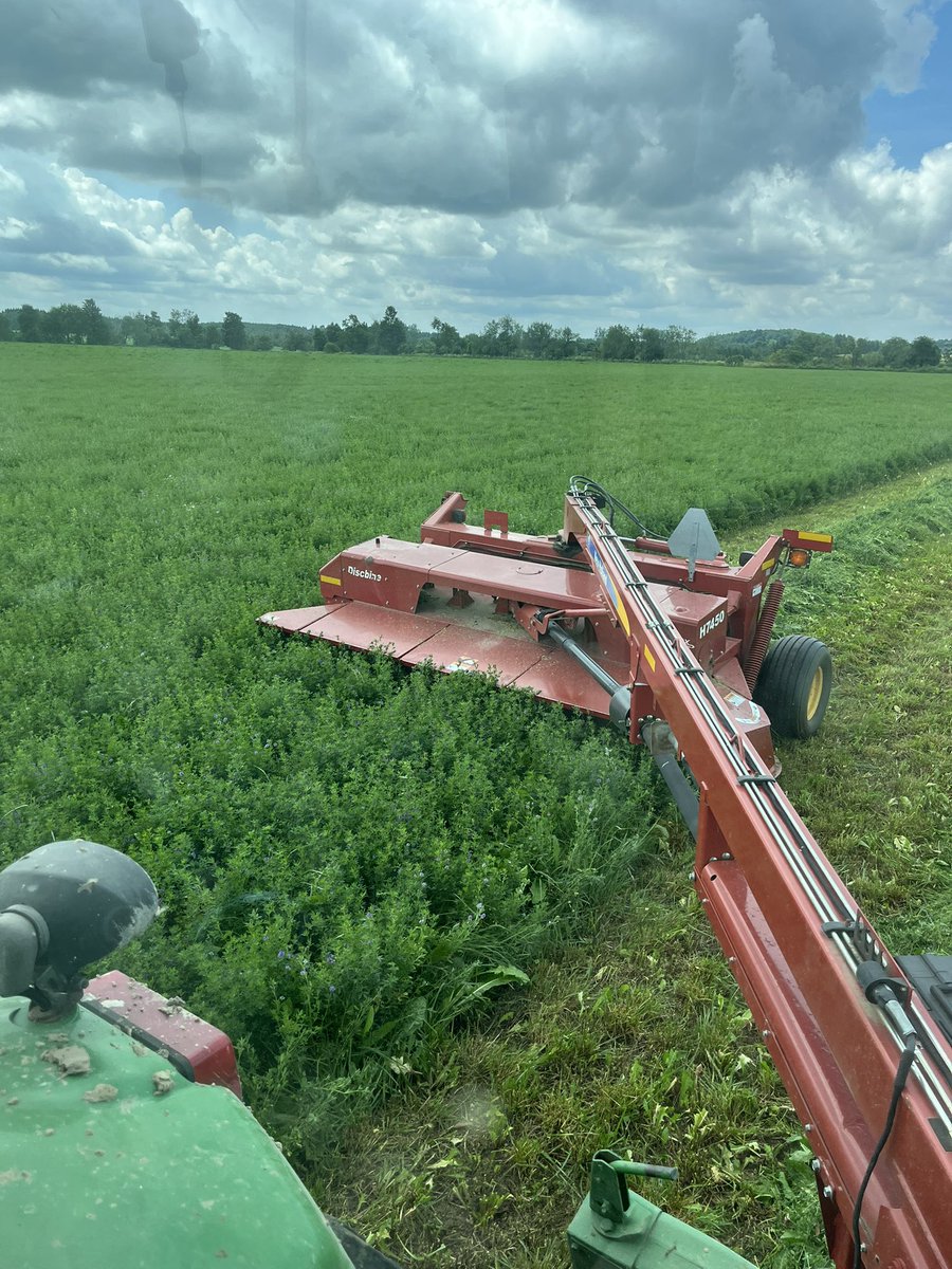 2nd cut going down! #hay25 #ontag