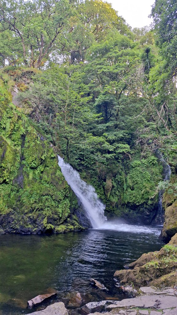 🏴󠁧󠁢󠁷󠁬󠁳󠁿