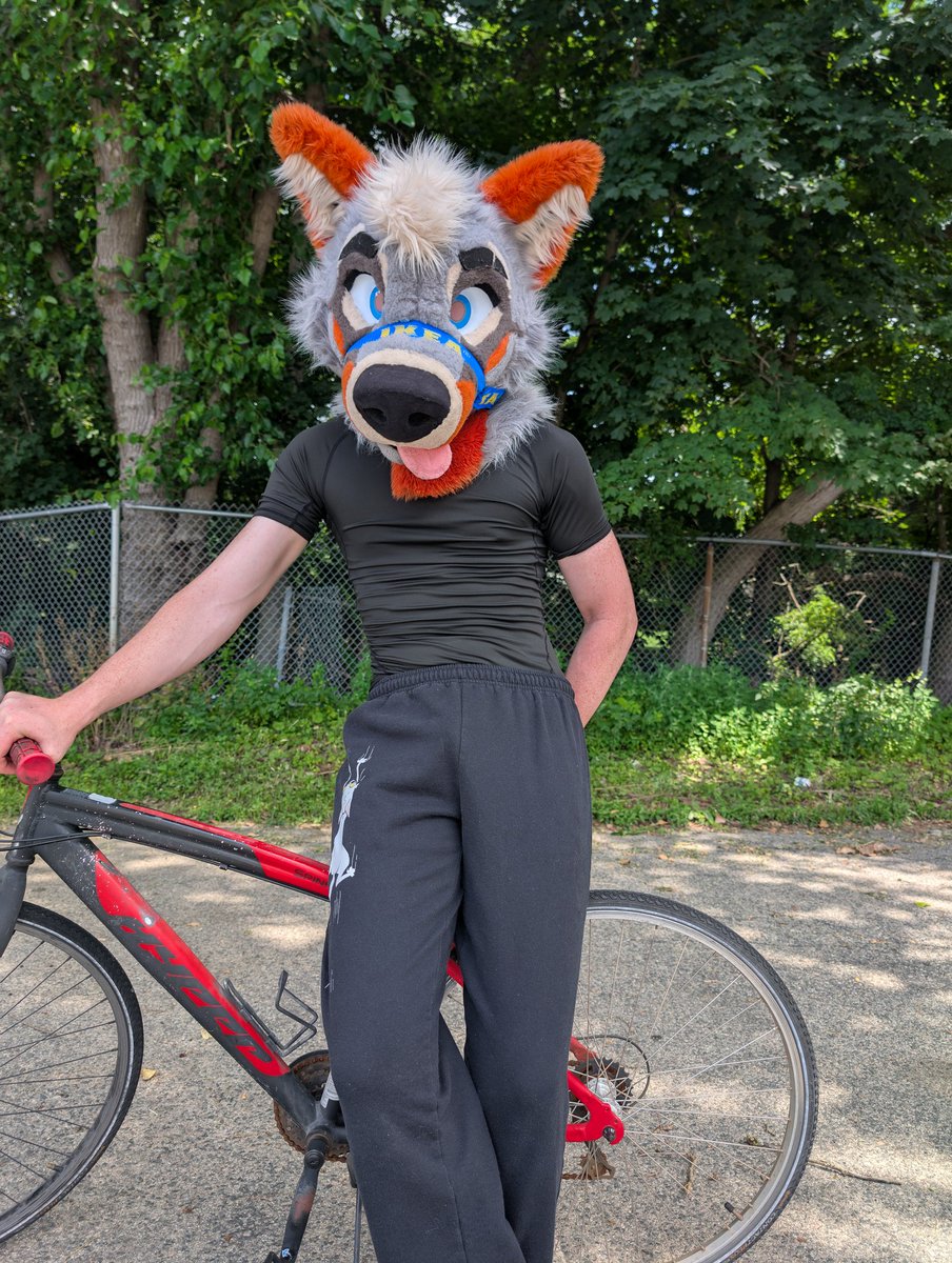 PartDoggo's tweet image. So cool he gets his own lane 😋