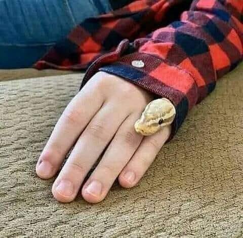 کس قدر معتبر یہ نسبت ہے
وہ مری آستیں کے  پالے ہیں