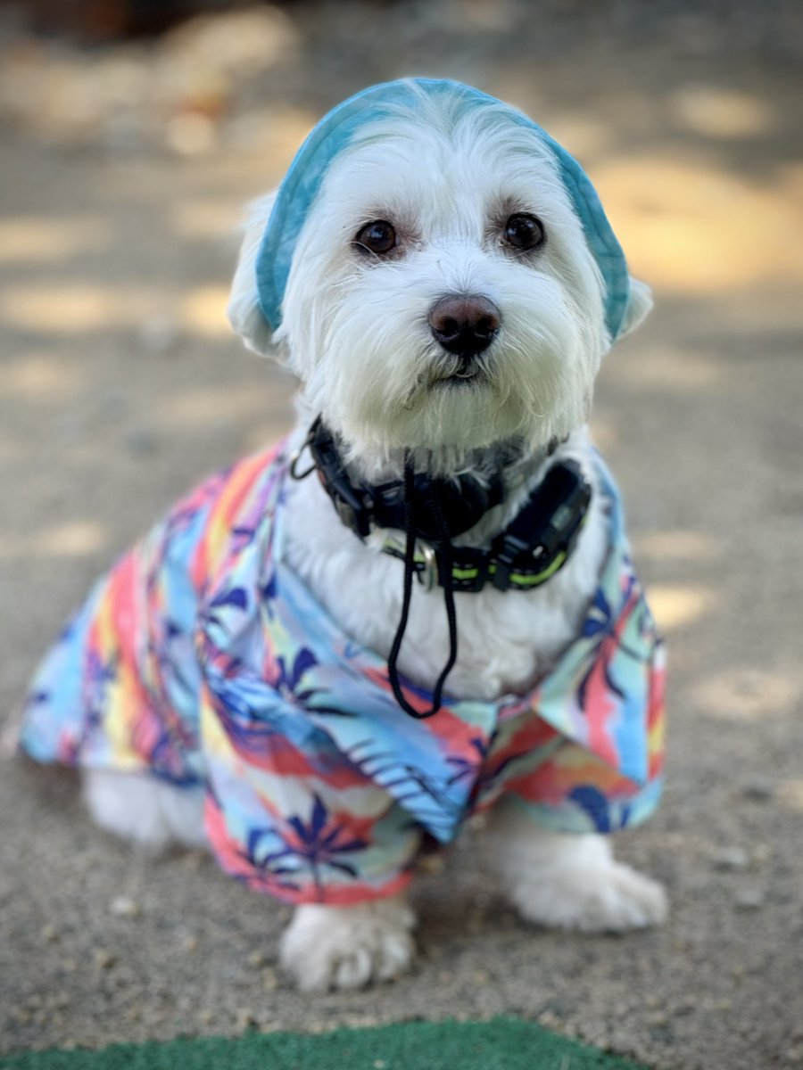 Мојот е спремен за море 😍