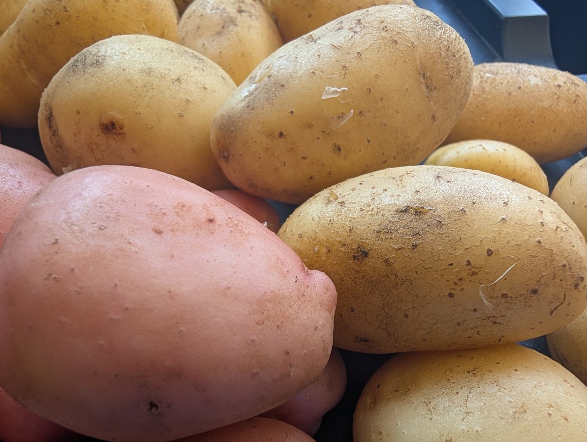 tismenic70's tweet image. Homegrown potatoes and other bits and pieces.

Sunday dinner.