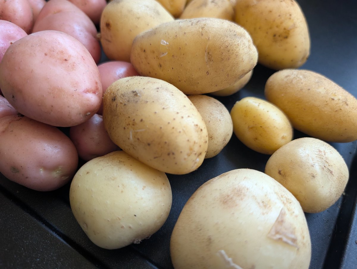 tismenic70's tweet image. Homegrown potatoes and other bits and pieces.

Sunday dinner.