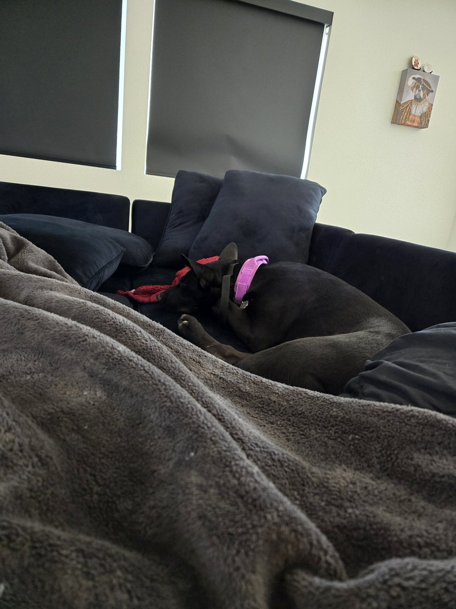 Koveus's tweet photo. My Sunday morning. https://t.co/SPX9cNcDwX
