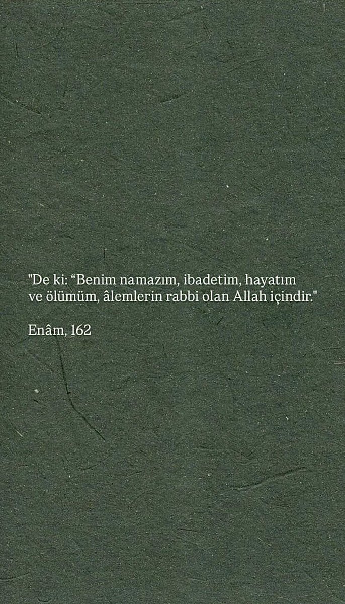 Betül Yavuz (@bettulyavuz) on Twitter photo 