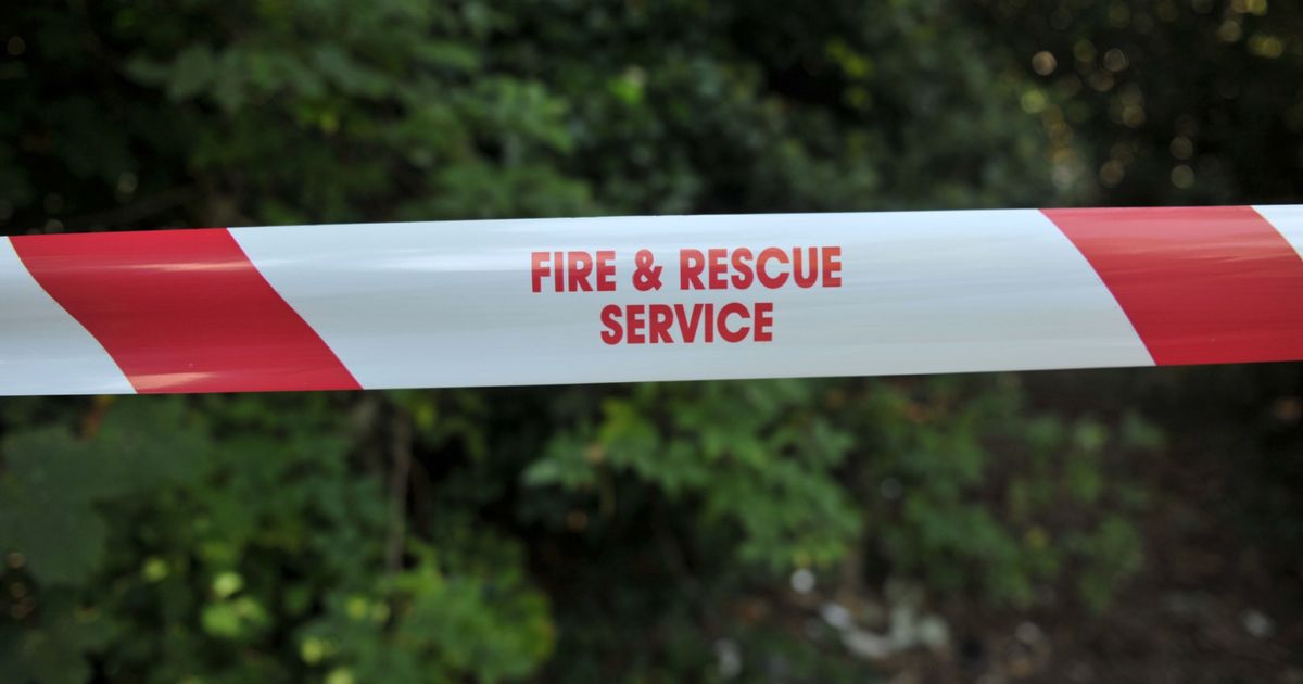 Cornwall Fire and Rescue Service (@cornwallfrs) on Twitter photo We are in attendance at a wildfire near Dobwalls. Four appliances and two Water Carriers are in attendance.
Due to the location of the fire, the Cornish Main Line has been closed in both directions until it is safe to re-open. <a href="/networkrail/">Network Rail</a> also in attendance. We are in attendance at a wildfire near Dobwalls. Four appliances and two Water Carriers are in attendance.
Due to the location of the fire, the Cornish Main Line has been closed in both directions until it is safe to re-open. <a href="/networkrail/">Network Rail</a> also in attendance.