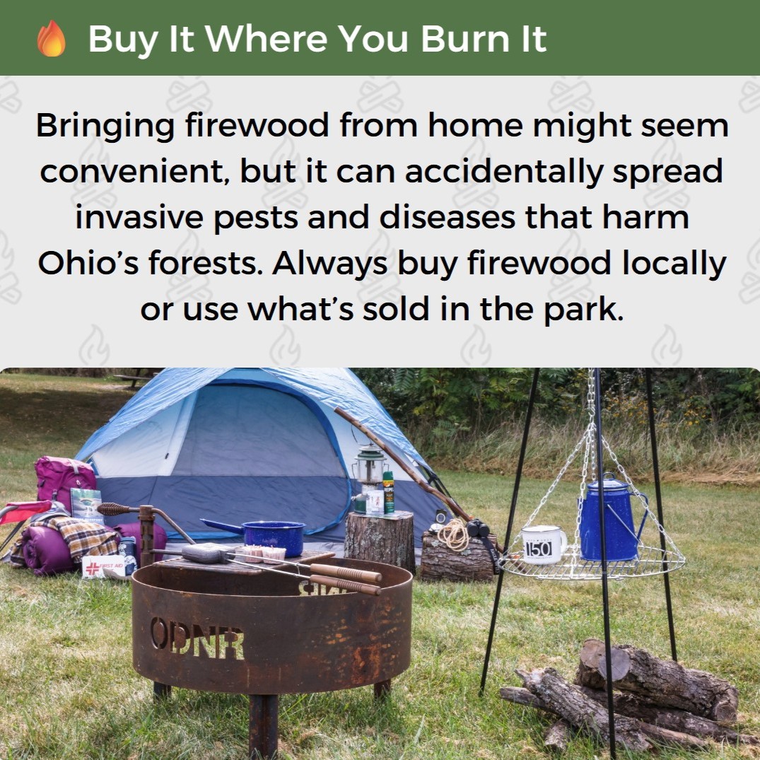 OHStateParks's tweet image. Campfire vibes? Yes.
Forest damage and wildfire risk? Hard no.
This summer, practice Campfire Consciousness 🔥🌲
Use local firewood, skip the flames during dry spells, and always leave no trace.
@ohiodnr @OHHeartofitAll