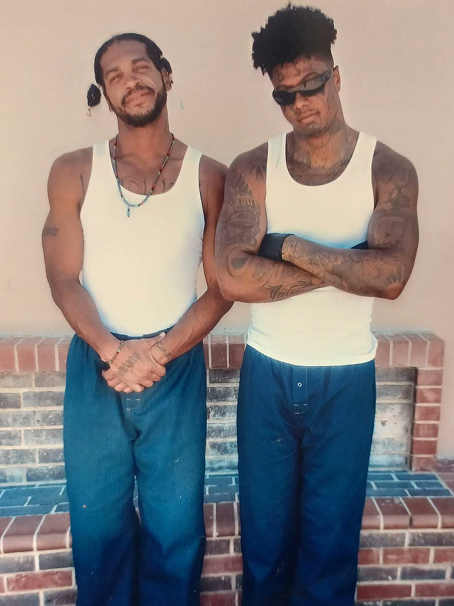 Trap World TV tweet media