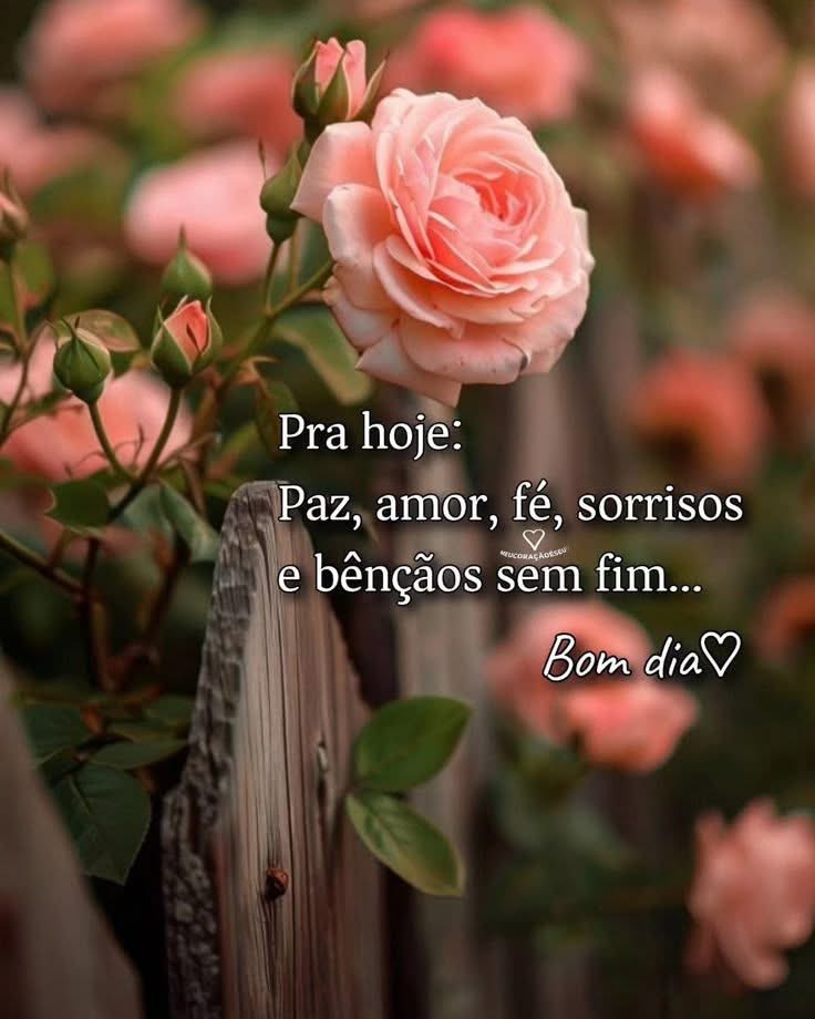 Silvia (@silnreginaa) on Twitter photo <a href="/luizcosta76/">LUIZ COSTA π·π ππΎπ₯Όπππ¨</a> <a href="/anaberssani1/">Anna π»β€οΈβπ₯π₯</a> <a href="/Da__Eliz/">EliπΈ</a> <a href="/B_Brusau/">β BΓ‘rbara β</a> <a href="/JulianaBaSub/">Juliana</a> <a href="/tito_12m/">Alexandre</a> <a href="/Zeno_Mello/">π§π·Zeno_Melloπ§π·</a> <a href="/biapeacelove1/">Bianca Dantas da Silva</a> <a href="/elionieves/">Elio Nieves π¨πΊππΊπΈ</a> <a href="/DaredevilCarlos/">Carlos Daredevil</a> <a href="/MolekoGil/">Renegado 01</a> <a href="/fer79crf/">Fer79crf</a> <a href="/OmarOmafranco/">Omar Franco</a> <a href="/RaulWever/">Raul Wever πΎπͺπΊπ²πͺπΈπ¨π΅π©π΄</a> <a href="/rogeliomtz75/">rogelio martinez 86K</a> <a href="/Edy75745008/">Edyπ·</a> <a href="/Matheus75636678/">MatheuzinhoπͺοΈzinho</a> <a href="/lynna_nich/">LynnaRTGAINS π 100K #ActiveGains #MGWV</a> <a href="/aylin_cee/">@ylin</a> Γtimo domingo Luiz, gratidΓ£o amigo!ππΊπ₯° <a href="/luizcosta76/">LUIZ COSTA π·π ππΎπ₯Όπππ¨</a> <a href="/anaberssani1/">Anna π»β€οΈβπ₯π₯</a> <a href="/Da__Eliz/">EliπΈ</a> <a href="/B_Brusau/">β BΓ‘rbara β</a> <a href="/JulianaBaSub/">Juliana</a> <a href="/tito_12m/">Alexandre</a> <a href="/Zeno_Mello/">π§π·Zeno_Melloπ§π·</a> <a href="/biapeacelove1/">Bianca Dantas da Silva</a> <a href="/elionieves/">Elio Nieves π¨πΊππΊπΈ</a> <a href="/DaredevilCarlos/">Carlos Daredevil</a> <a href="/MolekoGil/">Renegado 01</a> <a href="/fer79crf/">Fer79crf</a> <a href="/OmarOmafranco/">Omar Franco</a> <a href="/RaulWever/">Raul Wever πΎπͺπΊπ²πͺπΈπ¨π΅π©π΄</a> <a href="/rogeliomtz75/">rogelio martinez 86K</a> <a href="/Edy75745008/">Edyπ·</a> <a href="/Matheus75636678/">MatheuzinhoπͺοΈzinho</a> <a href="/lynna_nich/">LynnaRTGAINS π 100K #ActiveGains #MGWV</a> <a href="/aylin_cee/">@ylin</a> Γtimo domingo Luiz, gratidΓ£o amigo!ππΊπ₯°