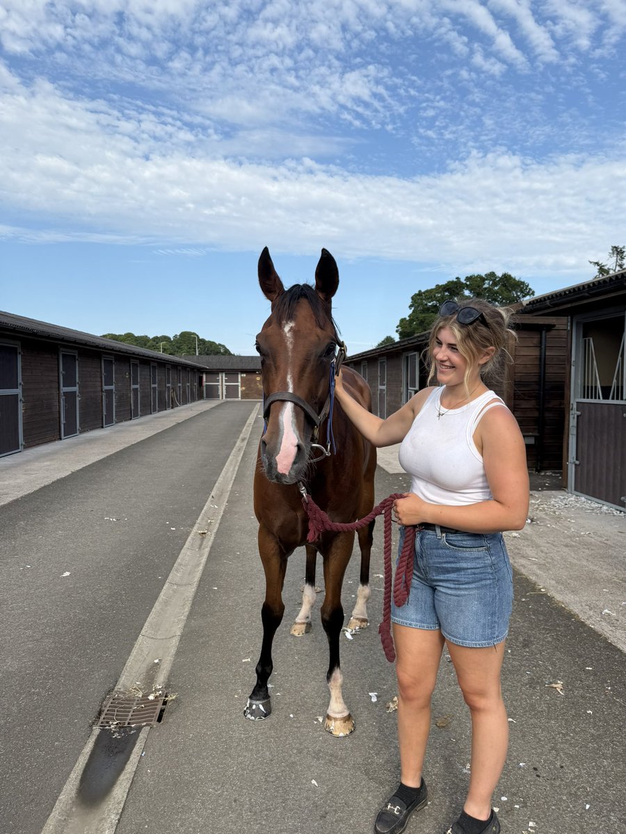 NicolRacing's tweet image. 2 nice runs from trailblazer and top flight century at Perth. Both given lovely rides by Josh Thompson 🥈🥉