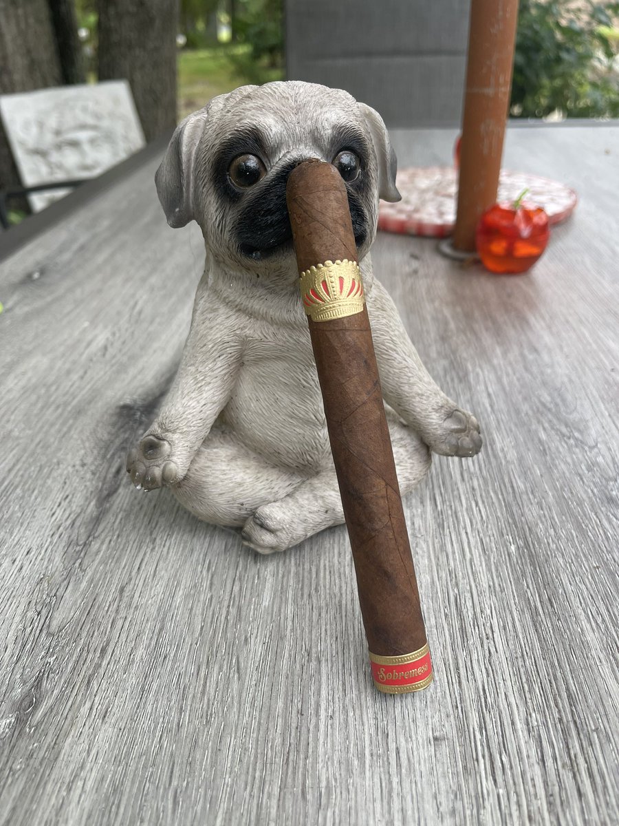 Robusto Cigar Babe (@robustobabe) on Twitter photo Countdown to #sundaycigarherf 4pmET today - follow the Hashtag & tell Puff-by-Puff cigar review <a href="/stevesaka/">Steve Saka</a> Sobremesa #SolitaRed @jeffbotl @cigarchairman @Tnherfin @hn_jad @troywolf63 <a href="/pjajr47/">Phil</a>
<a href="/daniel4742/">Daniel in Tempe</a> @atlobrien @fulpjon @Jerechessor Countdown to #sundaycigarherf 4pmET today - follow the Hashtag & tell Puff-by-Puff cigar review <a href="/stevesaka/">Steve Saka</a> Sobremesa #SolitaRed @jeffbotl @cigarchairman @Tnherfin @hn_jad @troywolf63 <a href="/pjajr47/">Phil</a>
<a href="/daniel4742/">Daniel in Tempe</a> @atlobrien @fulpjon @Jerechessor