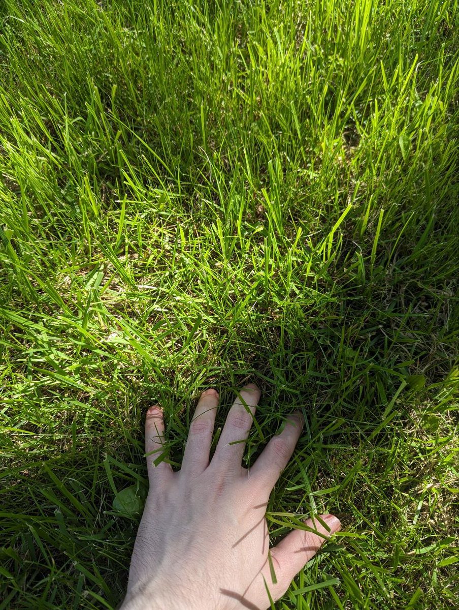 Ren Ashbell tweet media