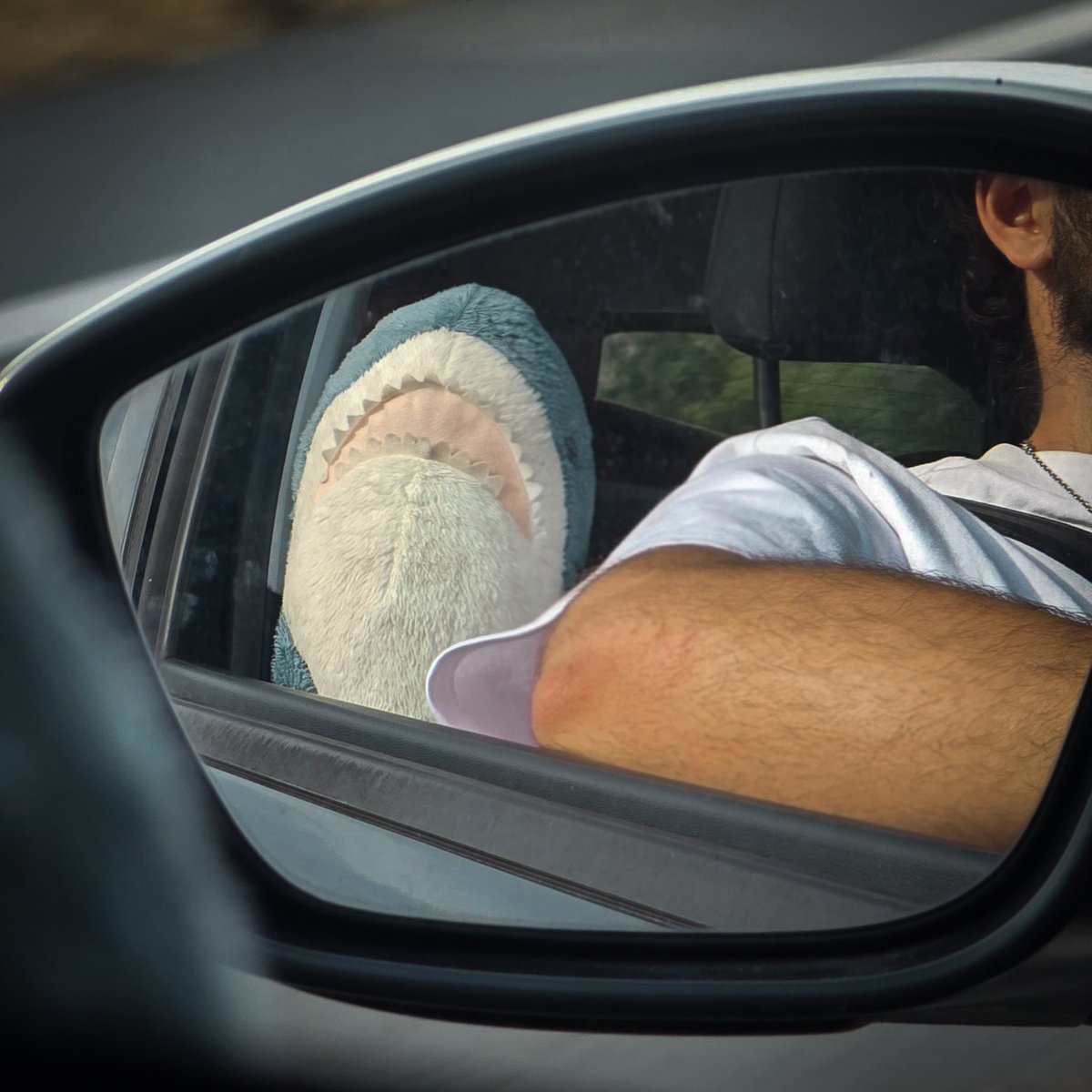 ⚠️Attention⚠️ 

Requin présent sur la plage 😎🏖🦈