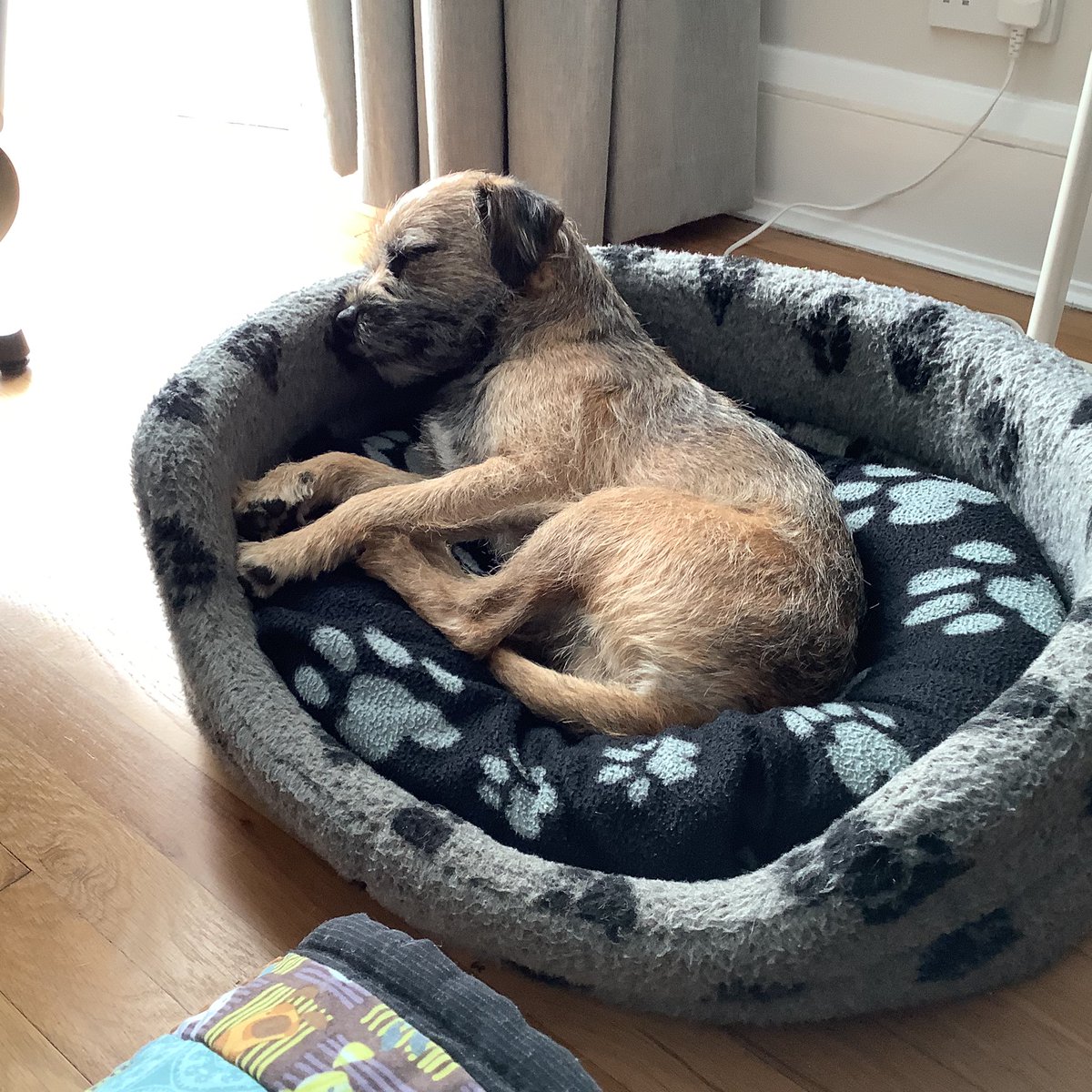 Sleeping through the tennis