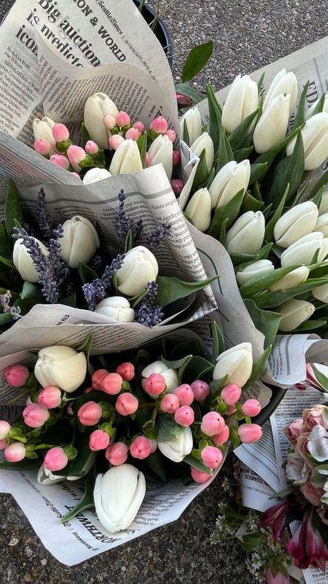 Tulips Library (@tulipslibrary) on Twitter photo 
