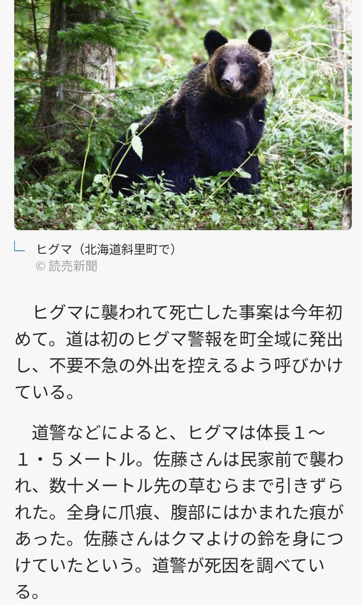 kumamoriBranch's tweet image. 付近では9日未明からヒグマの目撃が相次ぎ、ゴミ置き場が荒らされる被害も起きていた
→鈴を身につけていたというが真夜中に大きな音が鳴らせていたのだろうか。
既にゴミ箱荒らしという危ない兆候があったとは!!ゴミは誘引物!羆を引き寄せないようにせねばなりません!!
news.yahoo.co.jp/articles/93a9f…