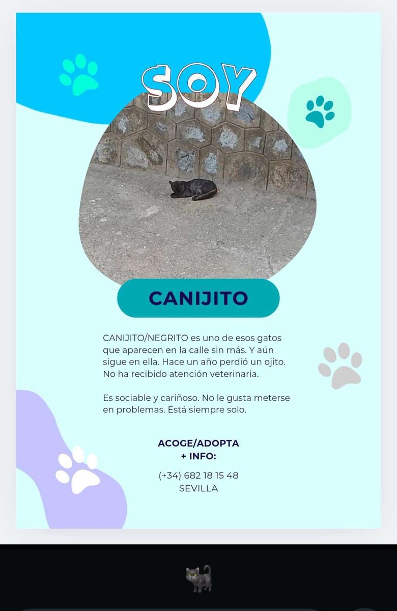 😺 Canijito

Hace un año perdió un ojo y no recibió atención veterinaria. Está en la calle siempre solo.

Es sociable y cariñoso.

📍Sevilla

Contacto: 682181548

#DomingoDeRescate