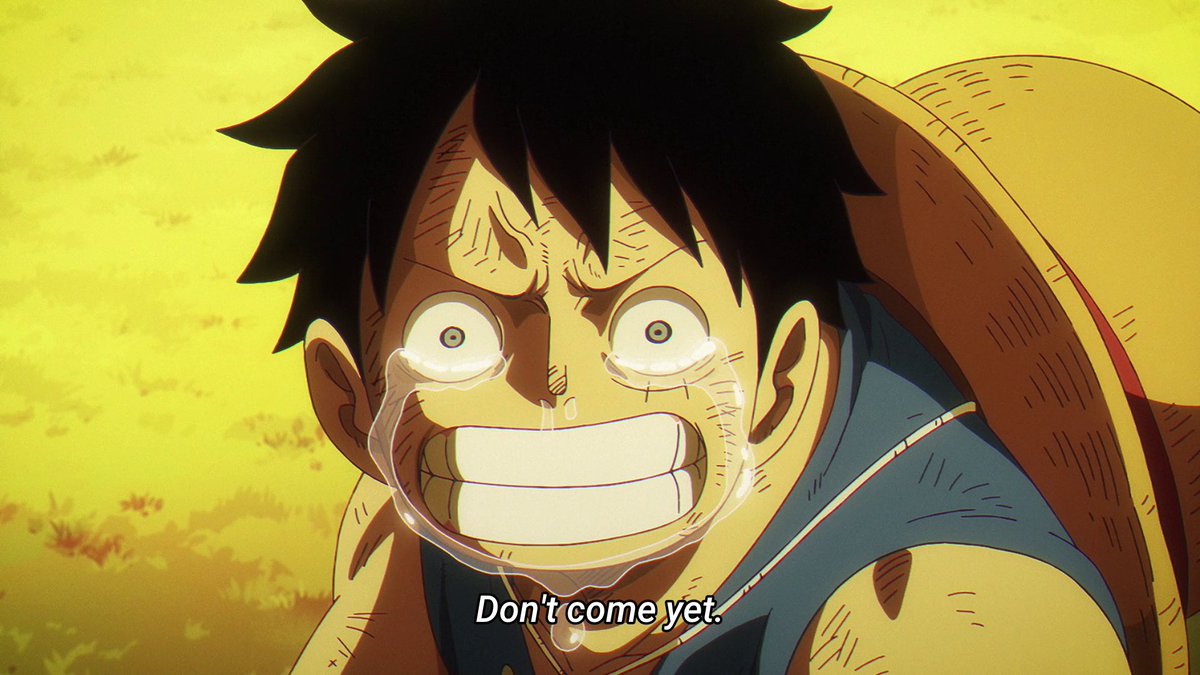 TheWillOfMarco's tweet image. Kuma betting on Luffy