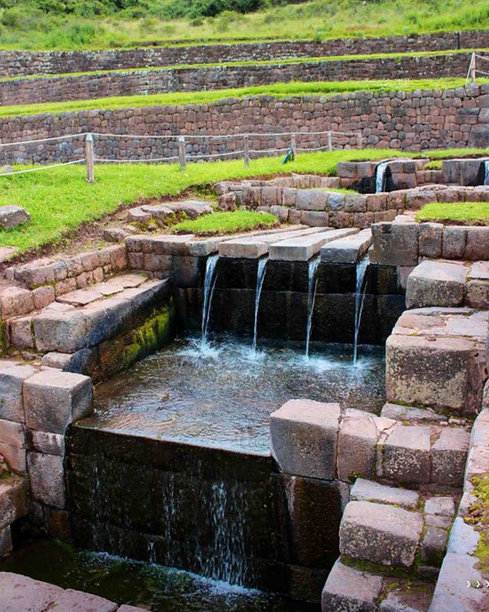 le_bourru's tweet image. #TIPON