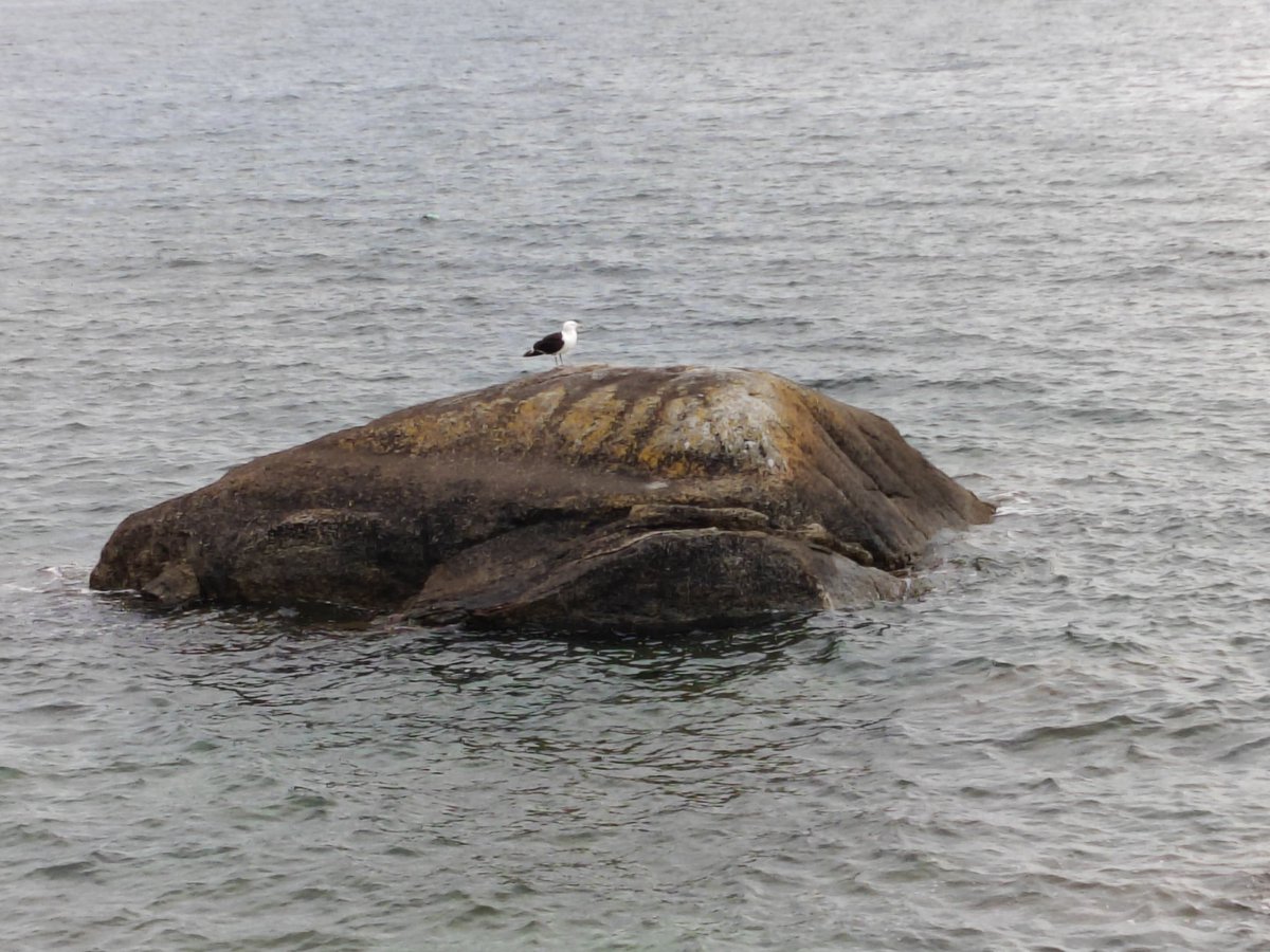 #Concarneau