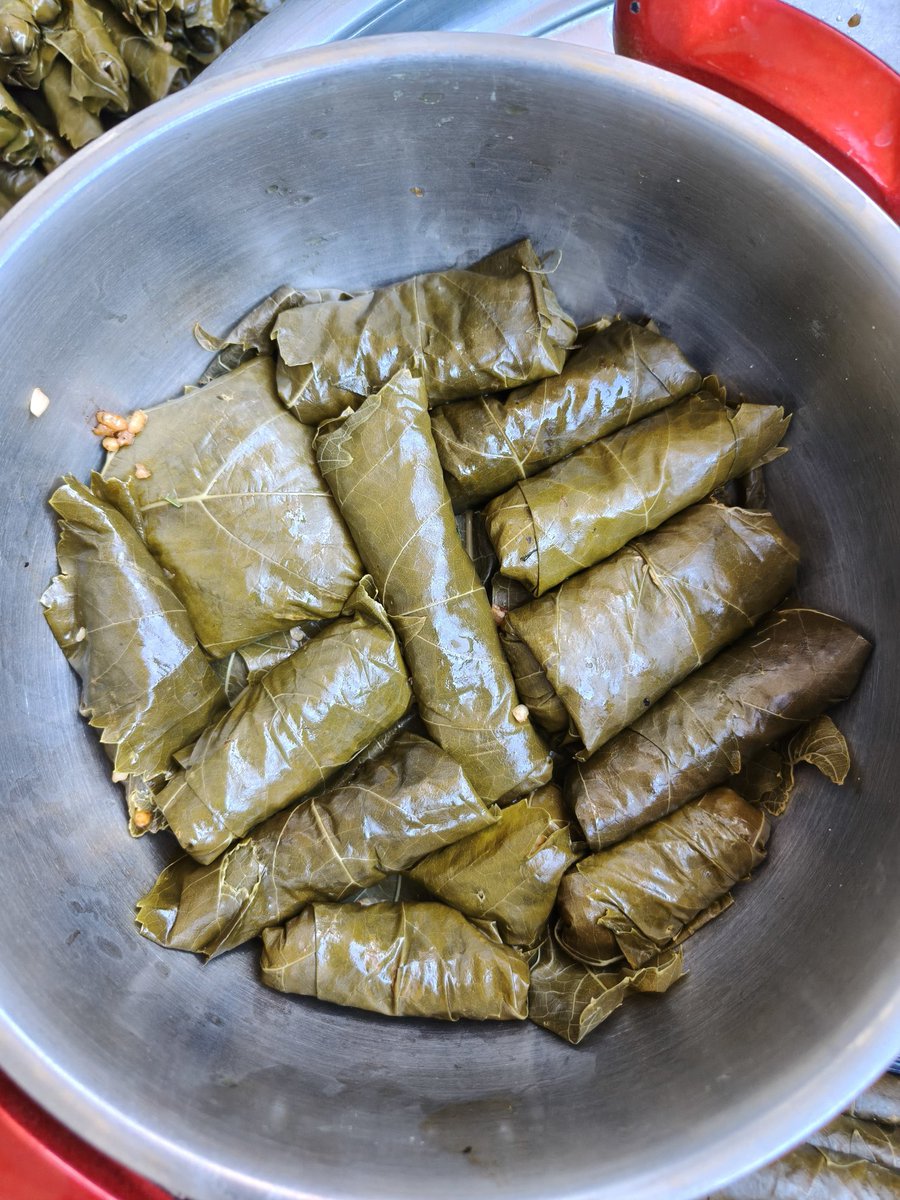 Meşhur o sarma döngüsüne girmemek için bulduğum yöntem 😁😅