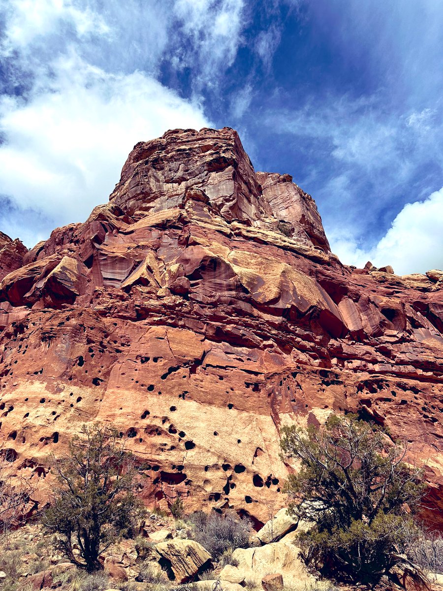 #CapitolReefNationalPark #Utah