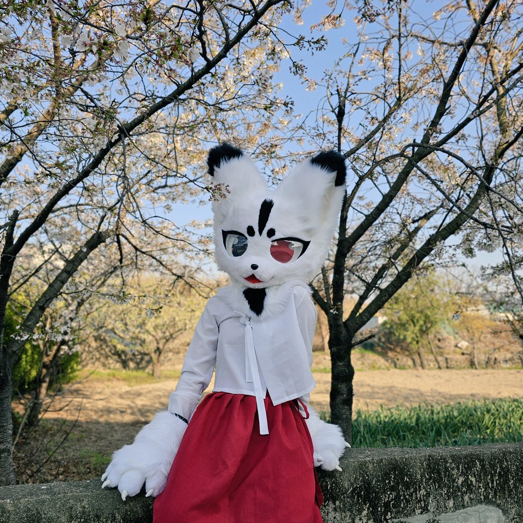 Gooleumm_'s tweet image. #fursuit #FursuitEverday 
❣️