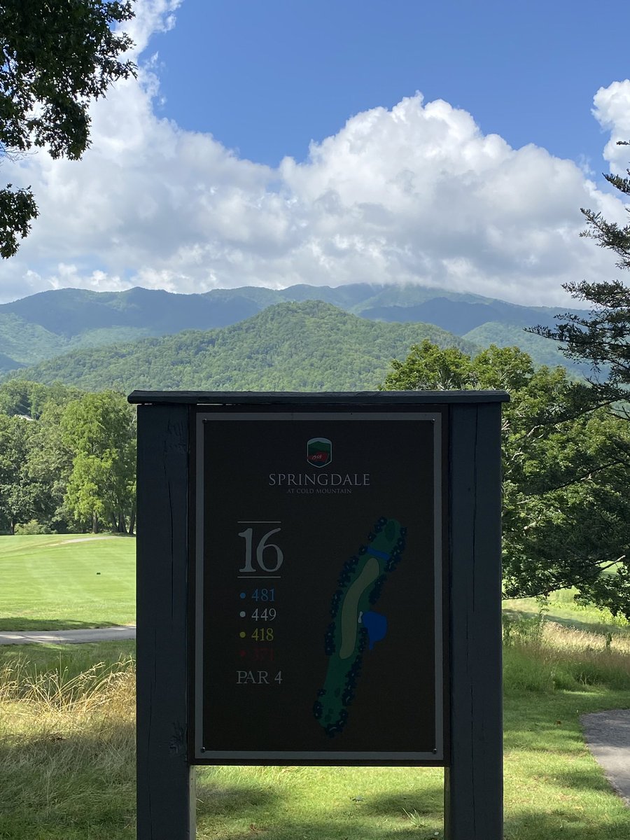 Brian Green tweet media