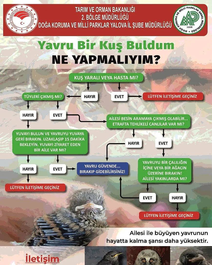 Yalova DKMP (@yalovadkmp) on Twitter photo 