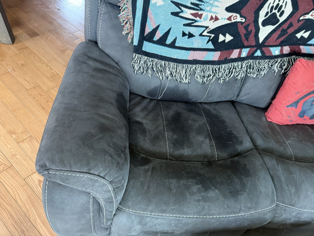 When you have dogs and a massive pond…