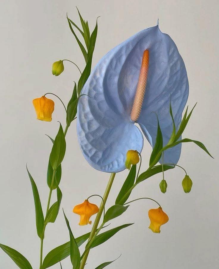 #Infpeace #LeoRespira                         #PremRawat #Respira #peaceispossible                      bit.ly/3Ea8Jgd