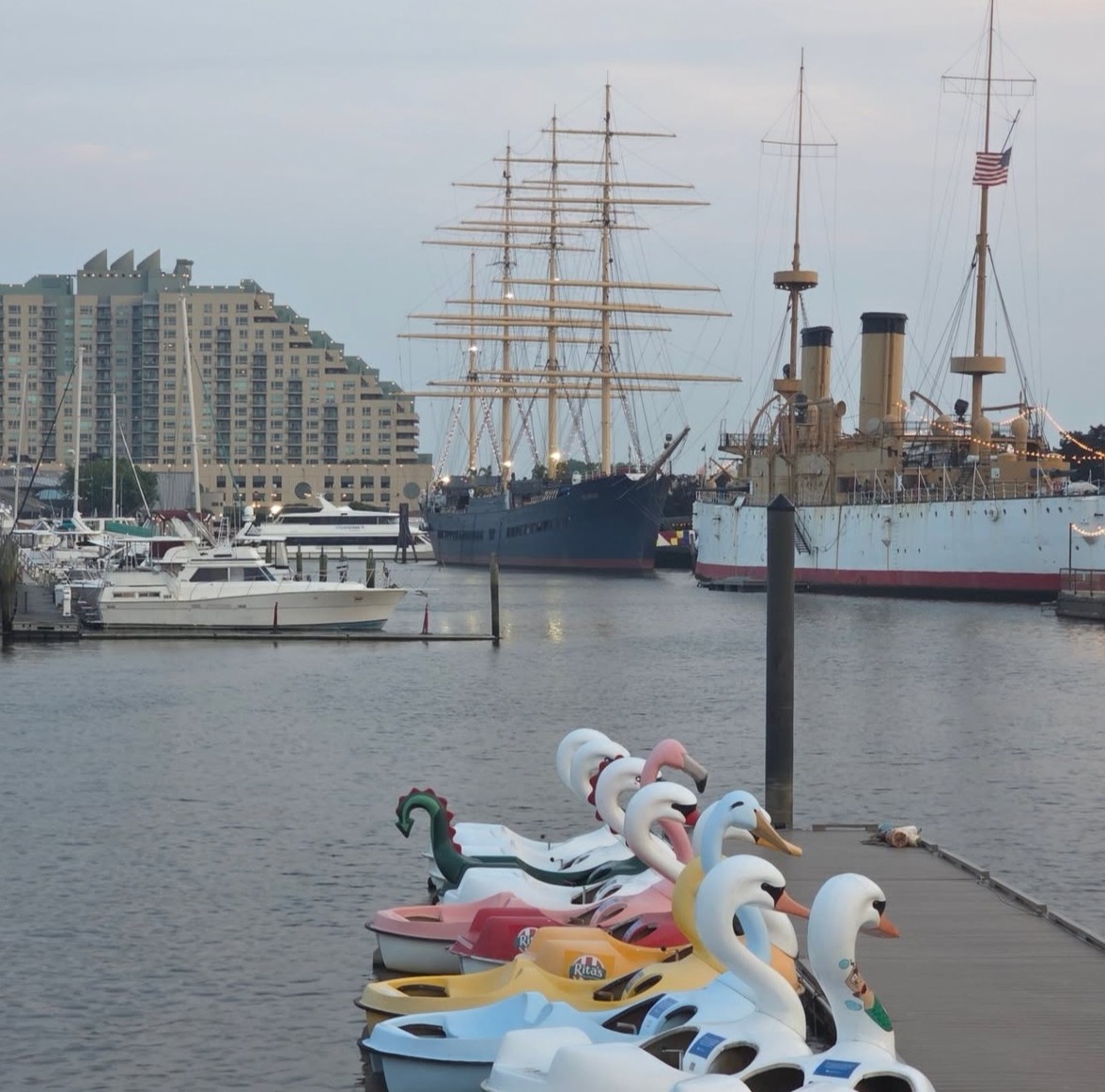 DelRiverWfront's tweet image. Philly date idea: You, me, and a swan boat at sunset. 💕🦢 

📸 likethefruit on IG

#MyPhillyWaterfront #VisitPhilly #whyilovephilly #Phillyphotographer #Philadelphiaphotographer #phillyframes