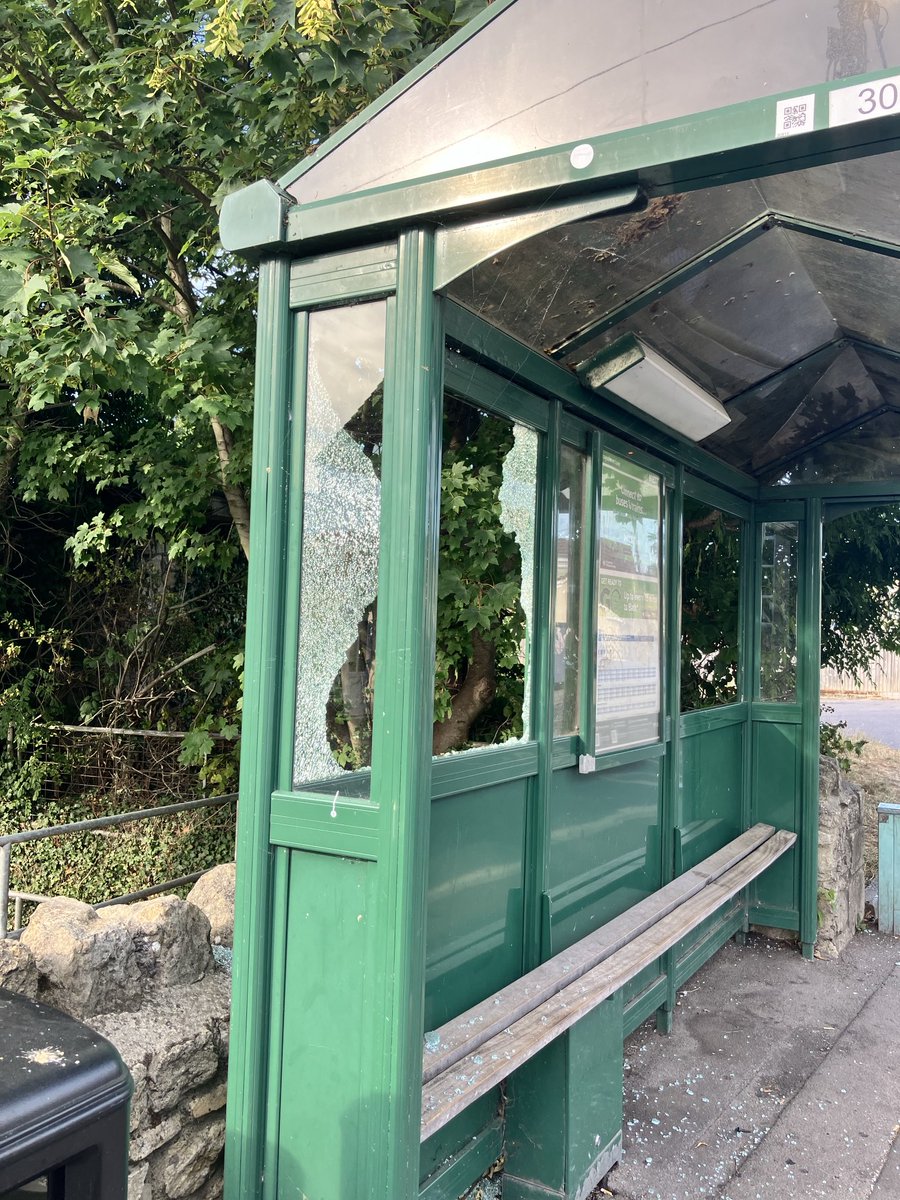 Dine Romero tweet media