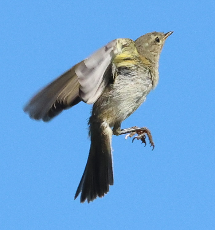 Bet they're all looking forward to a bit of respite this week as I think most of us are. Really hope we have some rain but not of biblical proportions.