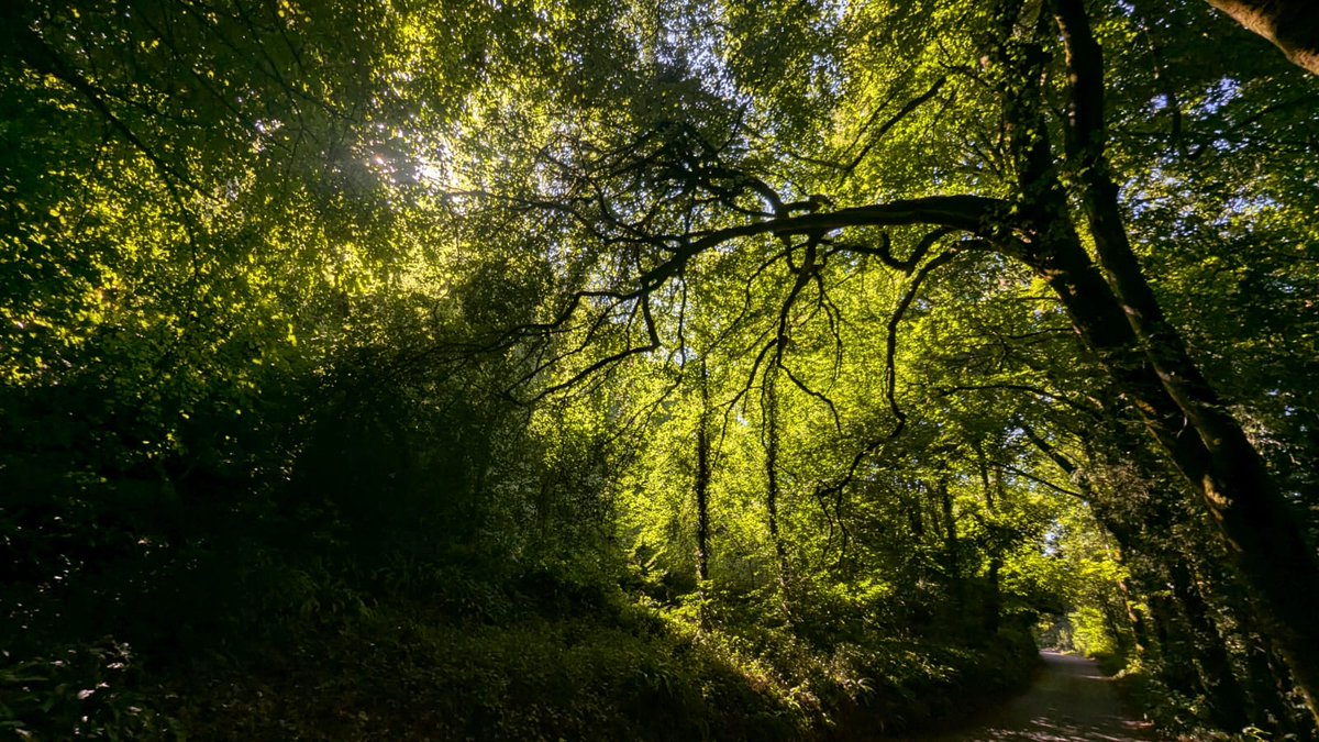 DanRavenEllison's tweet image. Managed to squeeze in a hot and sweaty @SlowWaysUK route from #Buckfastleigh to #Totnes! Love the summer evening light. ♥️
#SlowWays #Devon