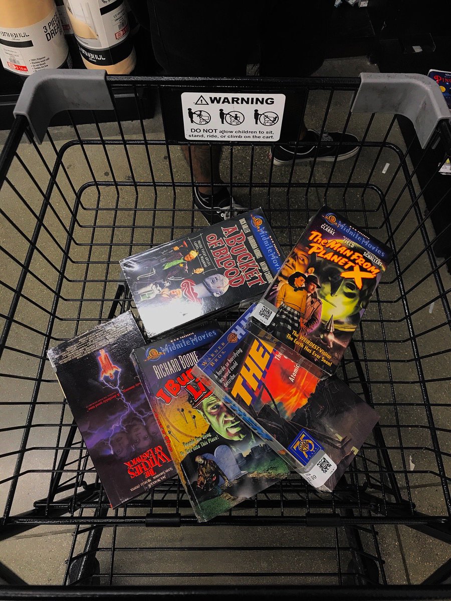 daniihorror's tweet image. horror gods blessed me at the thrift