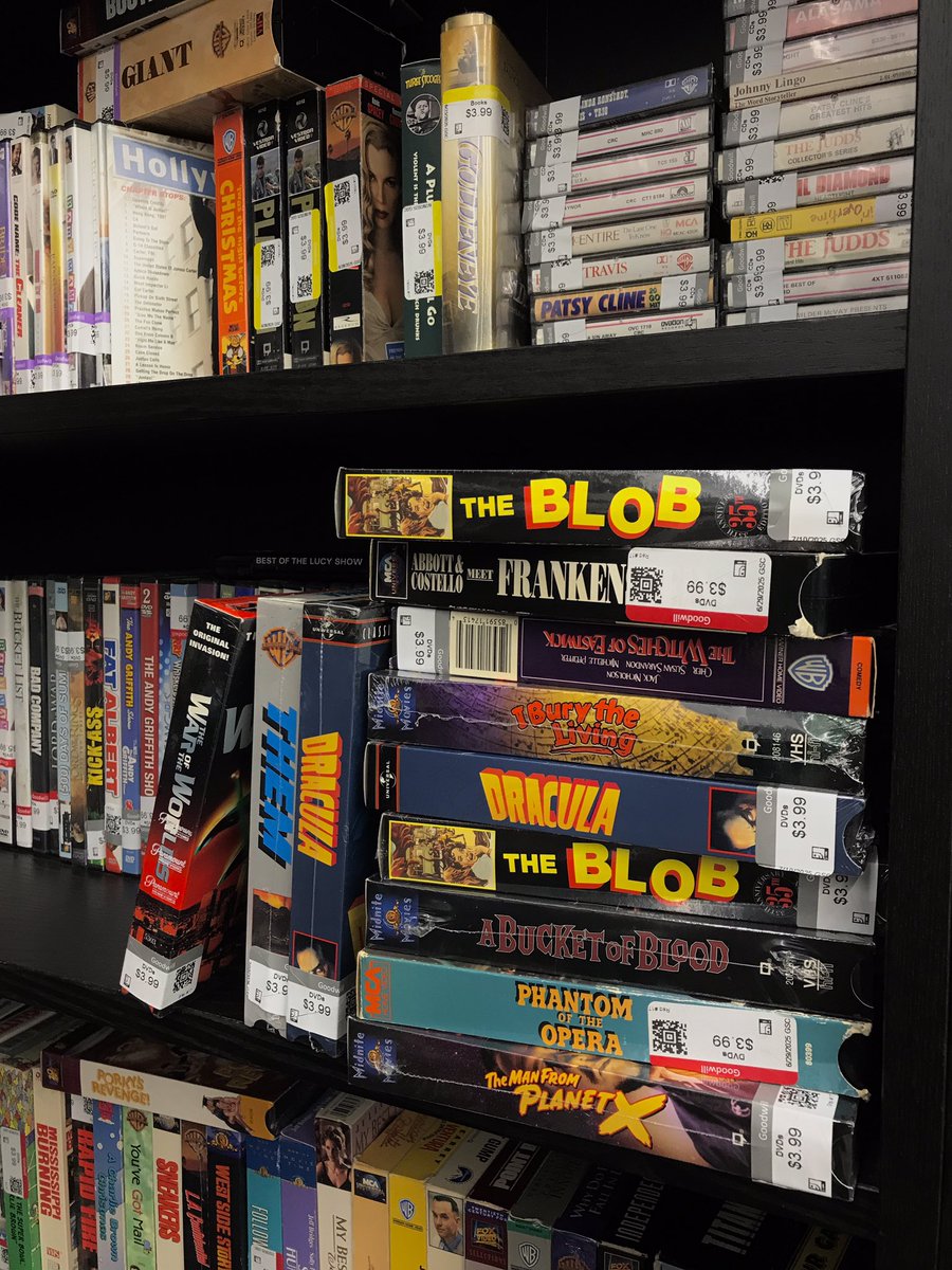 daniihorror's tweet image. horror gods blessed me at the thrift