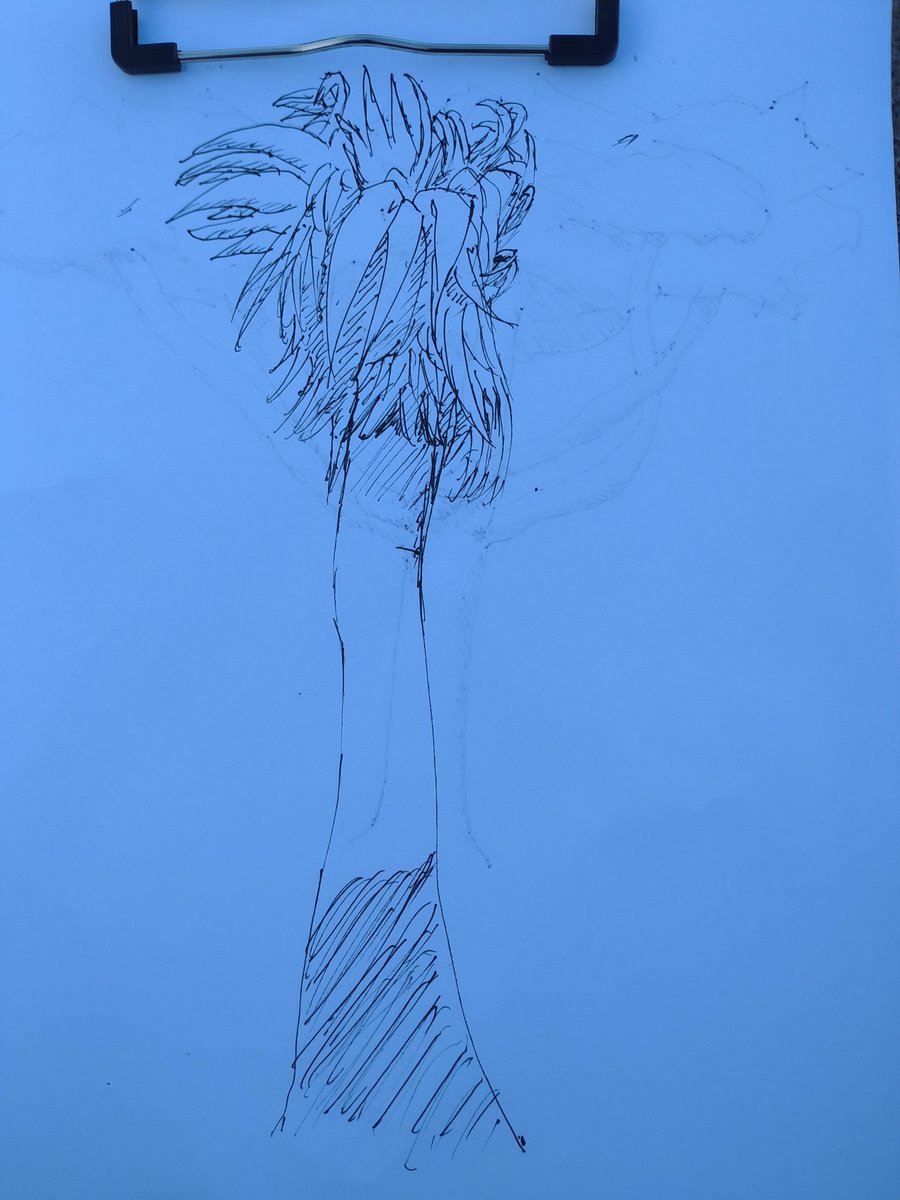 KiwiWeh's tweet image. Just some trees Kiwi did while outside.