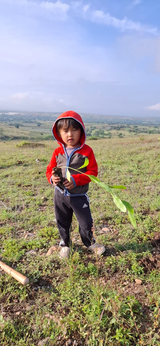 Eva Diego tweet media