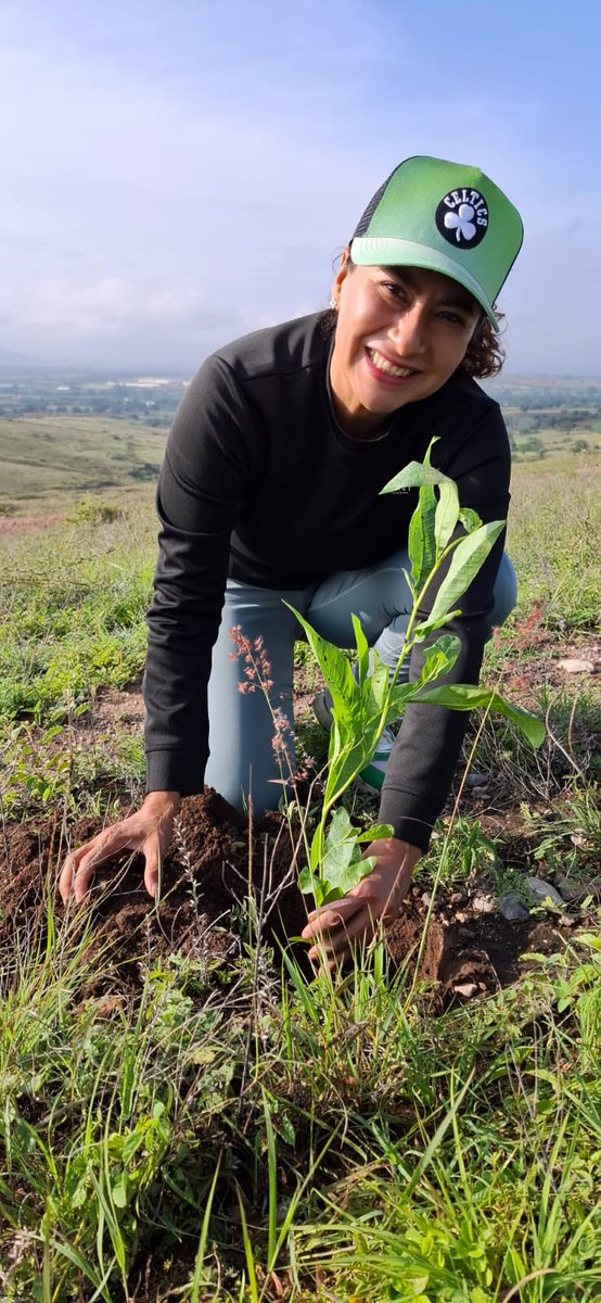 Eva Diego tweet media