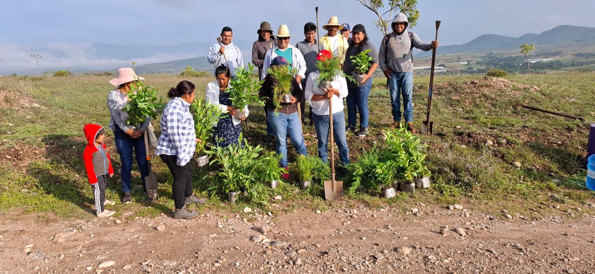 Eva Diego tweet media