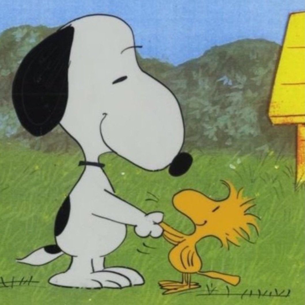 joekitsnoopy's tweet image. 🤝