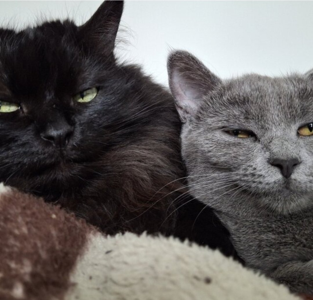 Ну хіба вони не найкращі?

❤️❤️❤️