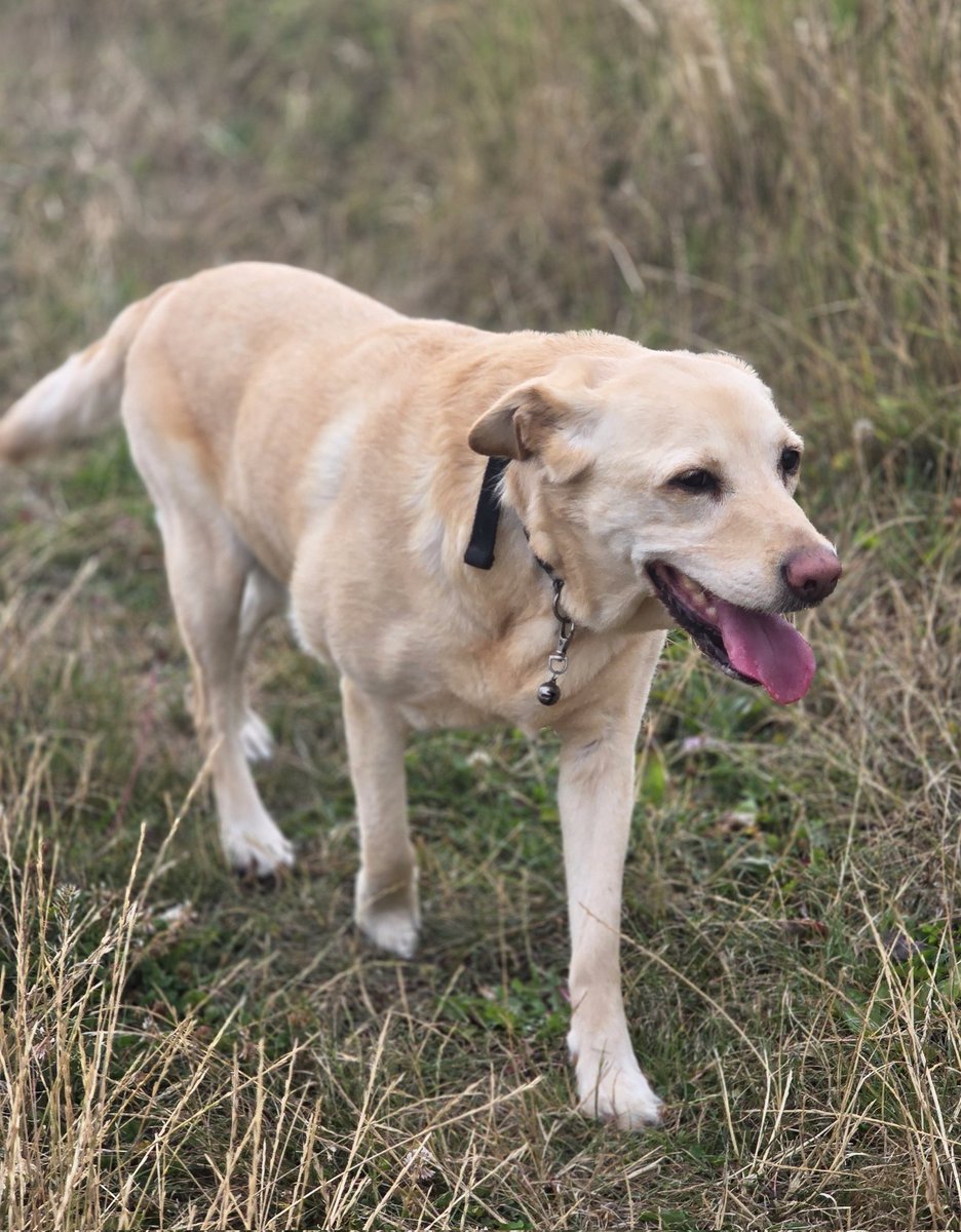 Jon Coupland tweet media